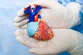 Новая система транскатетерной имплантации аортального клапана