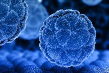 Первично-множественные опухоли: что мешает прогрессу