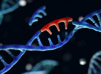 Генетика и эпилепсия: новые данные